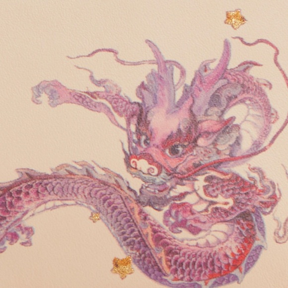 NWT COACH New Year Nolita 19 With Chain With Signature Canvas Dragon - Picture 8 of 9